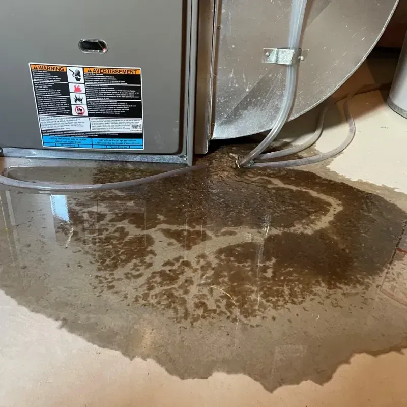 Appliance Leak Cleanup in Mabscott, WV